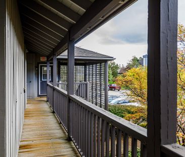 For Lease - 348 Mariners Way, Collingwood, Ontario - Photo 1