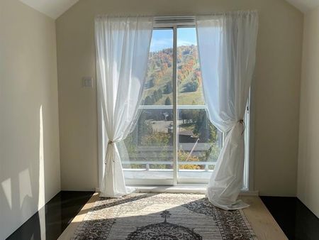 763 Rue Principale - Photo 2