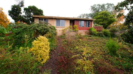 Family Home in Prime Location - Photo 5