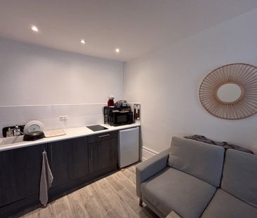 APPARTEMENT T1 A LOUER - LYON 2EME ARRONDISSEMENT - 26.22 m2 - 595 ... - Photo 1