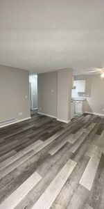 2 Bed 1 Bath unit available! - Photo 4