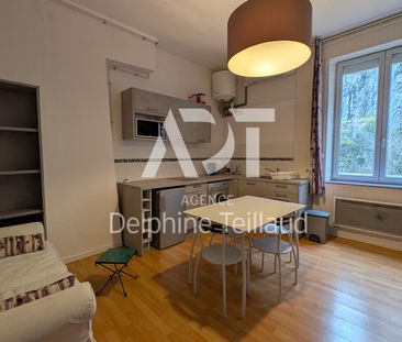 Location Appartement 1 pièce 25m² GRENOBLE 38000 - Photo 4