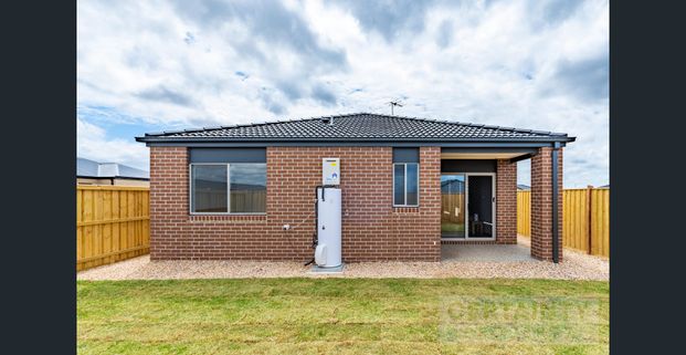 ONLY ONE ROOM AVAILABLE NOW - MUST SEE! - Photo 1