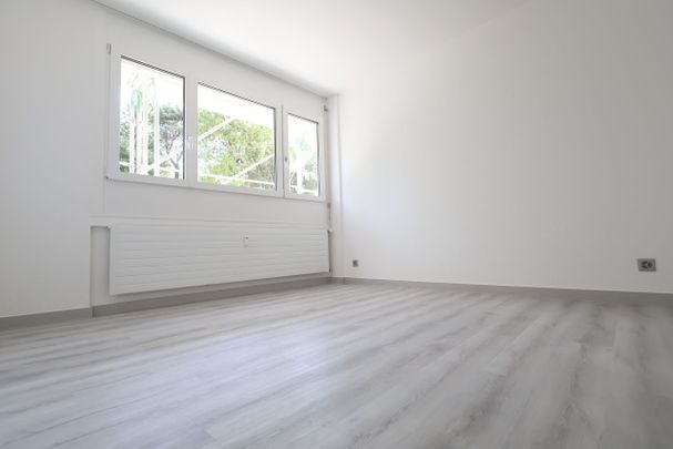 UP TO 3 MONTHS FREE -3.5 renovated rooms in Coldrerio - Photo 1