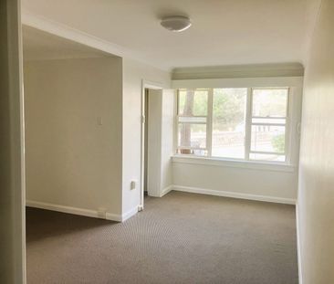 Studio Unit in Rushcutters Bay for $500/Week - Photo 2