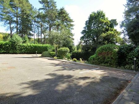 The Pines, Buxton Road West, Disley, Stockport, SK12 - Photo 4