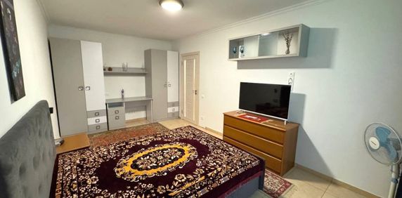 Apartament cu o camera de inchiriat pe Aleea Detunata - Fotografie 2