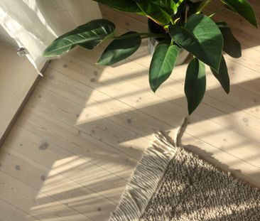 Råsundavägen, Solna - Foto 6
