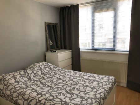Te huur: Appartement Noordsingel in Rotterdam - Foto 3