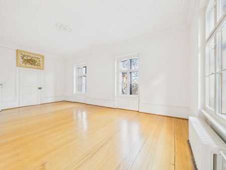 Exclusive 5.5-room apartment in the heart of Basel (temporarily until July 2026) - Photo 3