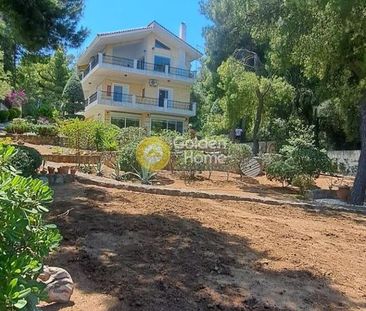 Μεζονέτα για ενοικίαση Θεολόγος (Μαλεσίνα) - Φωτογραφία 3