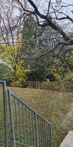 4 1/2 avec 2 chambres. Chat accepté - Photo 3