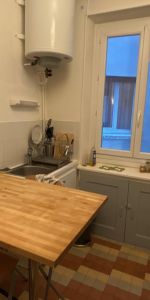 Location Appartement 1 pièce 37m² GRENOBLE 38000 - Photo 3