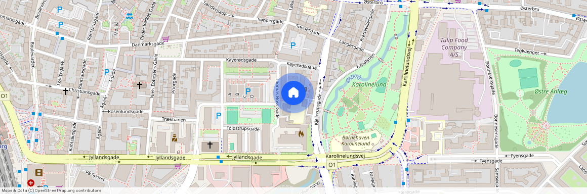 Thomas Boss Gade 10, 3. tv., 9000 Aalborg