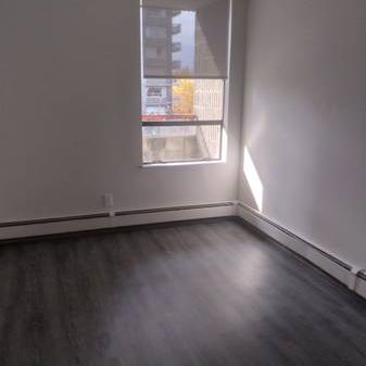 One bedroom apartment for rent - Photo 3