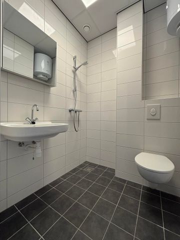 Te huur: Studio De Bukakkers in Emmen - Foto 3