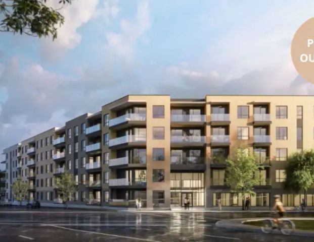 Exal NDG | 7300 Rue Saint-Jacques, Montreal - Photo 1