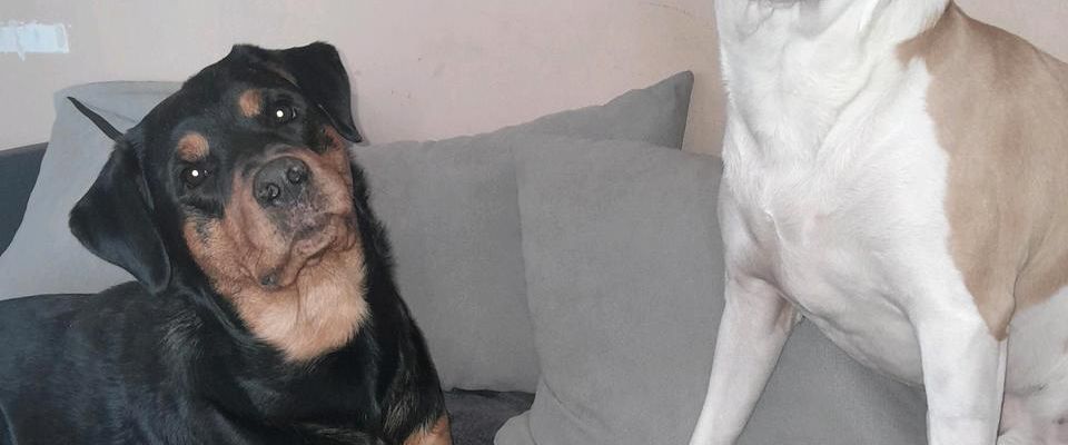 2 Zimmer Wohnung Gesucht - Photo 1