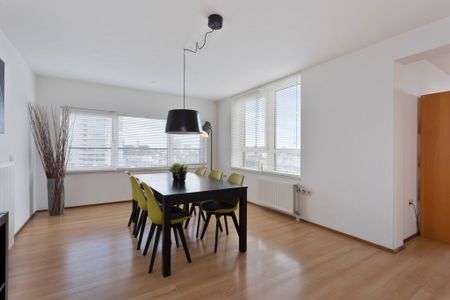 EINDHOVEN, De regent - Photo 5