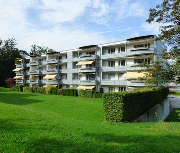 Your new oasis of well-being in the beautiful Adliswil! - Foto 5