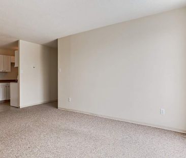 Premier Suite - 1 Bedroom - Photo 3