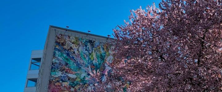 Wohnung Schöneberg | 22.12-31.01 - Foto 1