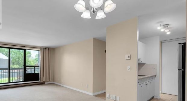 For Lease - 17 Eldon Hall Place Unit# 212, Kingston, Ontario - Photo 1