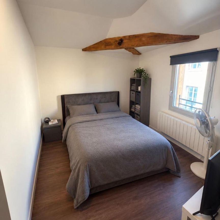 Location Appartement 1 pièce 43m² GAILLAC 81600 - Photo 1