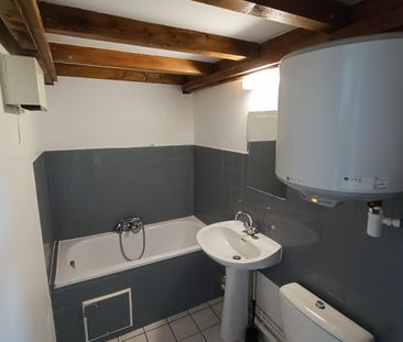 Location Appartement 1 pièce 19m² GRENOBLE 38000 - Photo 5