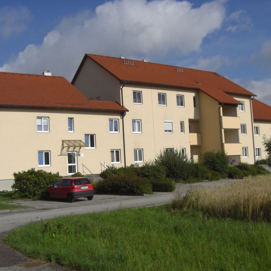 Wohnanlage der DWG Tolleterau 182/1 4710 St. Georgen bei Grieskirchen - Photo 2
