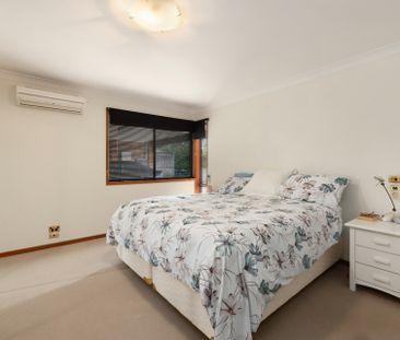 Spacious Family Oasis with Pool � Moments to Mona Vale Village - 6 ... - Photo 3