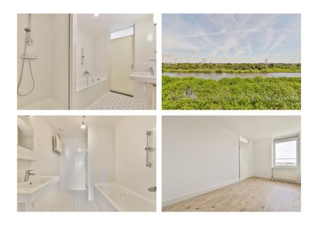 Hermelijnvlinder 95, Vlindertuin, 1113LC, Diemen - Photo 5