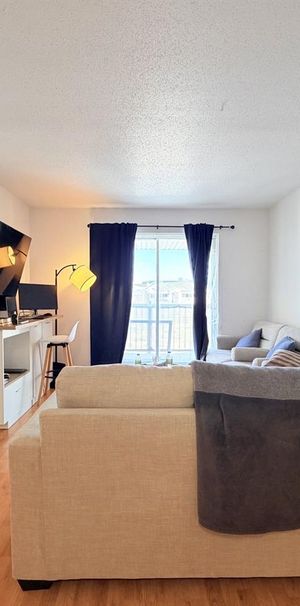 Antoine-du Verdier Appartement 3 ½ à Louer Sainte-Foy / Sillery Juillet 2026 - Photo 1