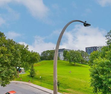 Renovated Apartments for Rent in Vieux-Rosemont – Steps from Masson... - Photo 6