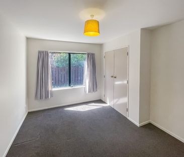 PETONE LIVING - Photo 3