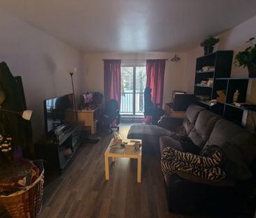 Appartement 4 1/2 à Louer - Photo 1