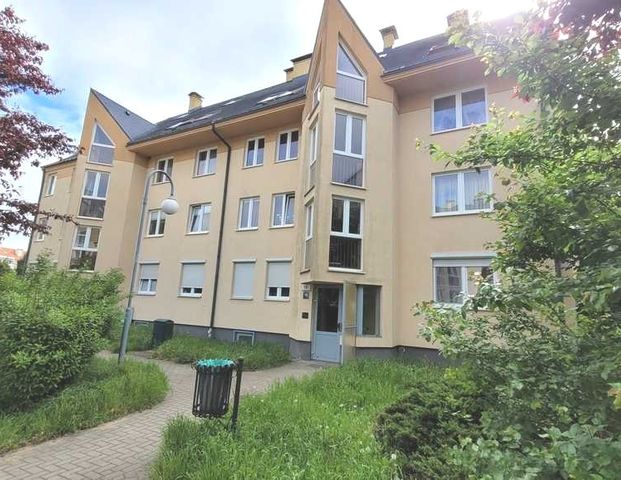 Mieszkanie Nad Rudzianką Szczecin, ul. Nad Rudzianką, nr 429851 - Zdjęcie 1