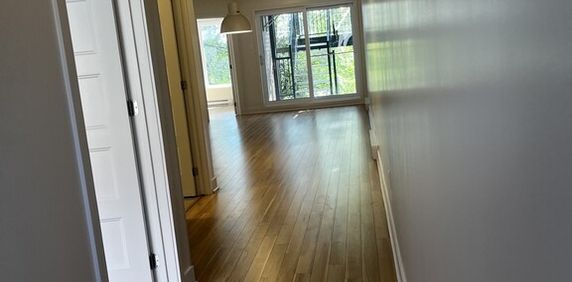 APPARTEMENT 4 1-2+BALCON+PARKING OPTION - Photo 2