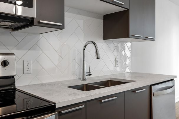 6 & 10 Oblats, Old Ottawa East, Ottawa, ON - Photo 1