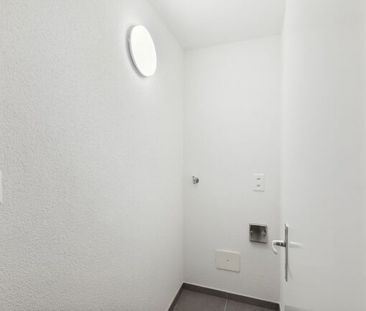 Apartment - Photo 4