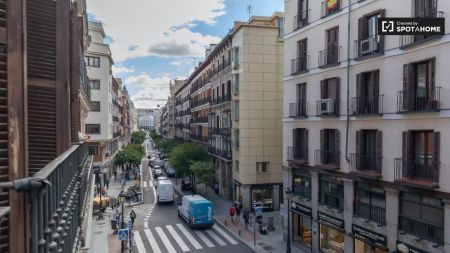 Double room in 4-bedroom apartment in Centro, Madrid - Photo 4