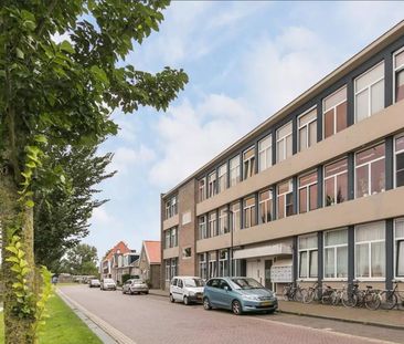 Laag Bolwerk 45 x - Foto 3