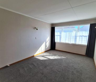 Akina two bedroom unit close to Hastings CBD - Photo 2