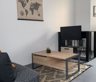 Location Appartement 1 pièce 22m² LIMOGES 87000 - Photo 2