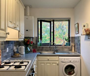 Carman Court - Photo 4