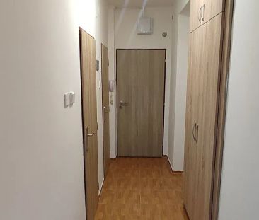 Pronájem bytu 2+1 56 m² - Photo 4