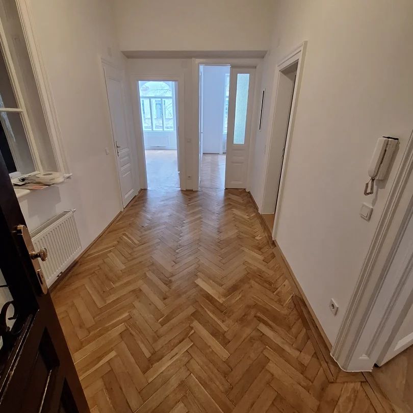 Sanierte Altbauwohnung Nahe Alois-Drasche-Park in ruhiger Lage unbefristet - Foto 1