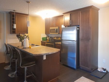 1 Bed Apartment | Schonsee Edmonton | Gas & Water Included - Photo 3