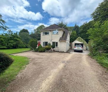 Green Lane, Raymonds Hill, Axminster - Photo 3
