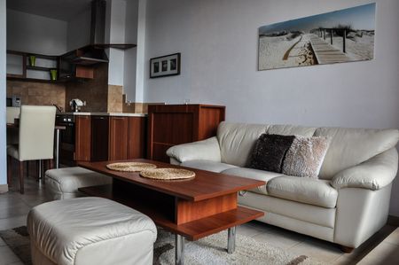 Apartament wynajem Poznań,Grunwald, City Park 48m2 - Zdjęcie 4